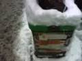 videos de la NEVE a milano pt.2