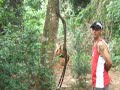 Mata dos Macacos