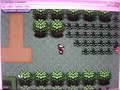 Videos endemoniados de Pokemon