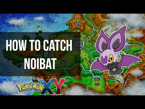 how to turn it night in pokemon y