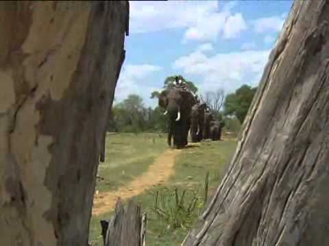 Top Billing | Travel | Zambia | Anele Mdoda