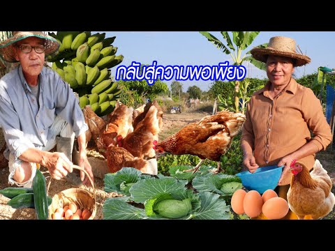 เกษตรพอเพียงในวัยเกษียณ