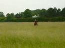 d�d� galop