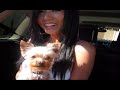 Models in the trunk shoot feat Elly Shee