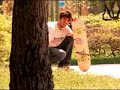 Rekiem Skateboards
