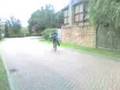 videos de gaz wheelyin