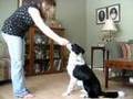 The Attention Game (Part One)