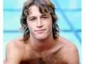 i just want to be your everything - Andy Gibb