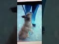 Click here to watch this video molly