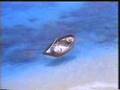 Langnese - TV-spot Sky