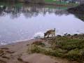 Chili am Strand
