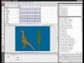 Flash CS3 Animation - Whirled Avatar