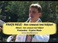 FRATII-REUT-Am-Cresc