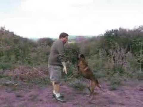 dog training - Here's an easy method that you can use to stop your dog from jumping on friends and family. Don't forget to rate this video, leave comments and subscribe to ...
