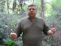 Dog Training - Solve Your Dog\
