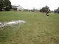 Backyard Skimboarding