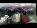 Call of duty 4: overgrown skywalking + extra