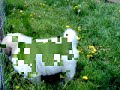 Seymour Family  Great   Pyrenees  Puppy