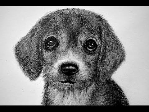 how to draw j dog