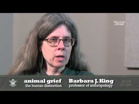 Animal grief: The human distinction