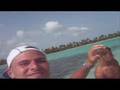caraibes