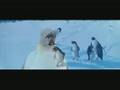 Happy Feet - Life is Short - Butterfly Boucher