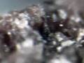 Martian Meteorite 4925
