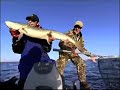Big Dawg Musky Big Dawg Musky