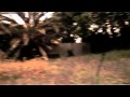 Priscilla Ahn - "Dream" Music Video video