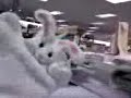 Bored at Kohl's (the bunny dance)