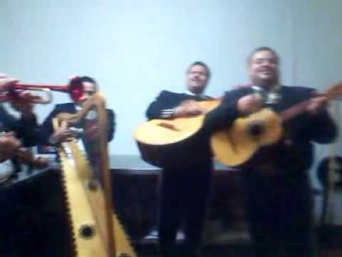 Mi vicio alex y su mariachi oro