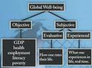 well being - Economists throughout the world are beginning to use happiness as an economic indicator. This week Gallup helps refine this approach.
