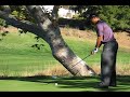 Tiger Woods Golf Swing