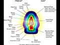 Vortex Energy Part2 Vibration and the Secret of Healing Vortex Energy Part2 Vibration and the Secret of Healing