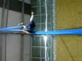 Serie tomas - tela