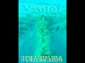 Visitor Pame Havai 5 0 let's go Hawai 5 0