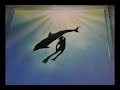 Diver and Dolphin underwater spacepainting Diver and Dolphin underwater spacepainting