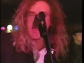 IBM Ben Freidman Band