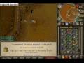 Runescape Vidz- Lime349 90 cooking- less than 9days till 99