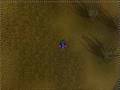 re: runescape - the prophet said