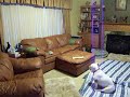 Zoey Morning Zoomies