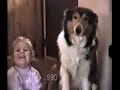 bebe e cachorro
