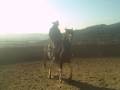 Second ride on Lakota, David Lee Archer