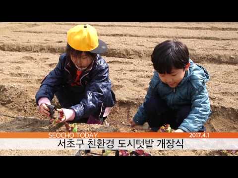 서초구 친환경 도시텃밭 개장식