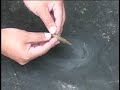 Patching Your Pond Liner Patching Your Pond Liner