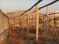 località turistiche - Acate Marina (RG), in Sicilia -costa sud orientale, dove serre di ortaggi dismesse hanno ridotto a macerie e immondezzaio il territorio, un bel tratto di costa con mare splendido e spiaggia dalla sabbia finissima.Le serre di ortaggi dismesse hanno fatto terra bruciata attorno, anzi spiaggia altamente inquinata da cumuli di plastica (enormi teloni prima utilizzati per la copertura delle serre) che, aggiunti a ferraglie e materiale vario (di tutto, di più) hanno trasformato un bellissimo pezzo di costa siciliana in una discarica. Vero peccato!!!