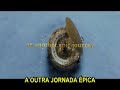 trailer   a bússola de ouro   legendado   by kablam