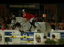 gewoon paarden