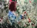 تامر عاشور - كل يوم
