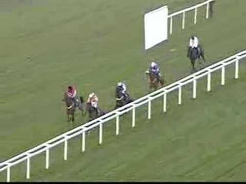 paddy power cheltenham